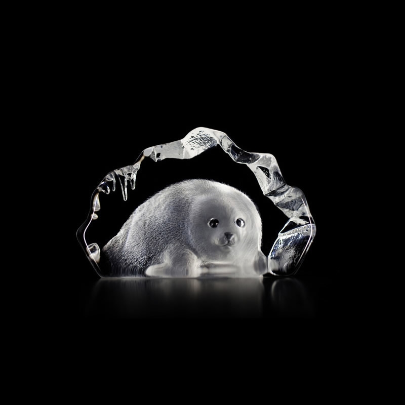 Wildlife Crystal Baby Seal Figurine by Mats Jonasson
