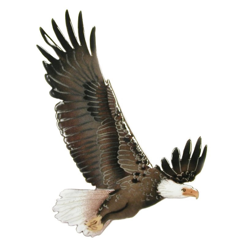  Bald Eagle in Flight Metal Wall Art 
